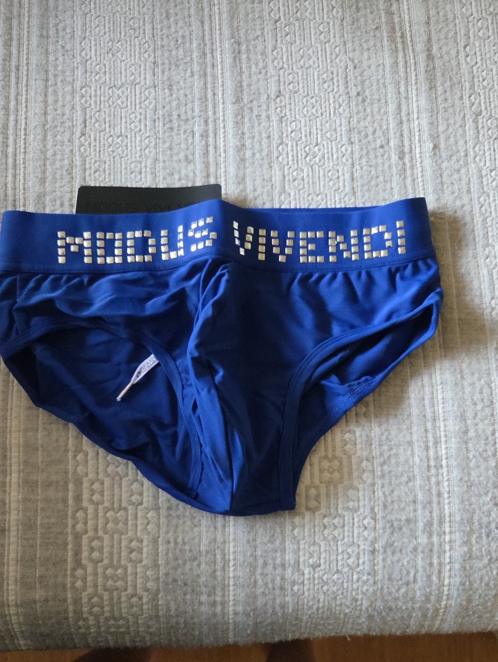 Men's Royal Blue Swim Briefs with Stud-Style Waistband